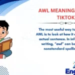 AWL Meaning Slang TikTok