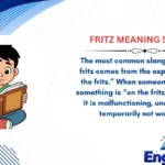 Fritz Meaning Slang