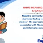 NMMS Meaning in Text Spanish