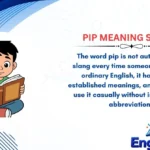 PIP Meaning Slang